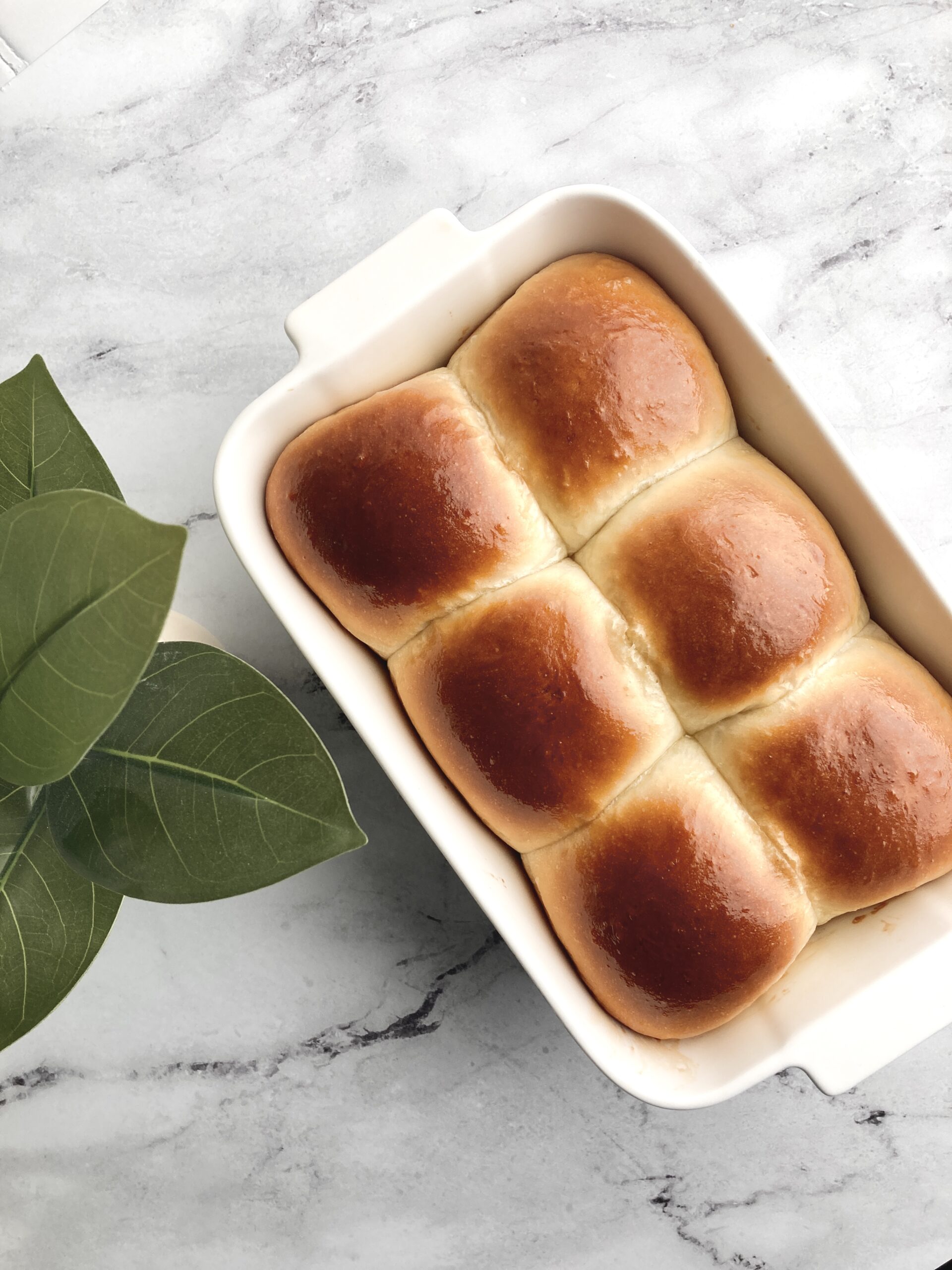 Japanese Milk Buns (Dinner Rolls)